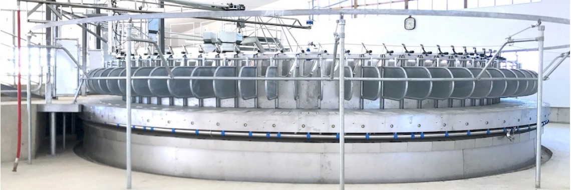 80 Point Rotary Parlour