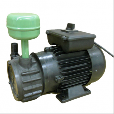 Electric Motor 110V, 60Hz w/cable & switch 
