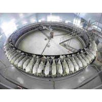 Rotary Milking Parlour Rotary Milking Parlour